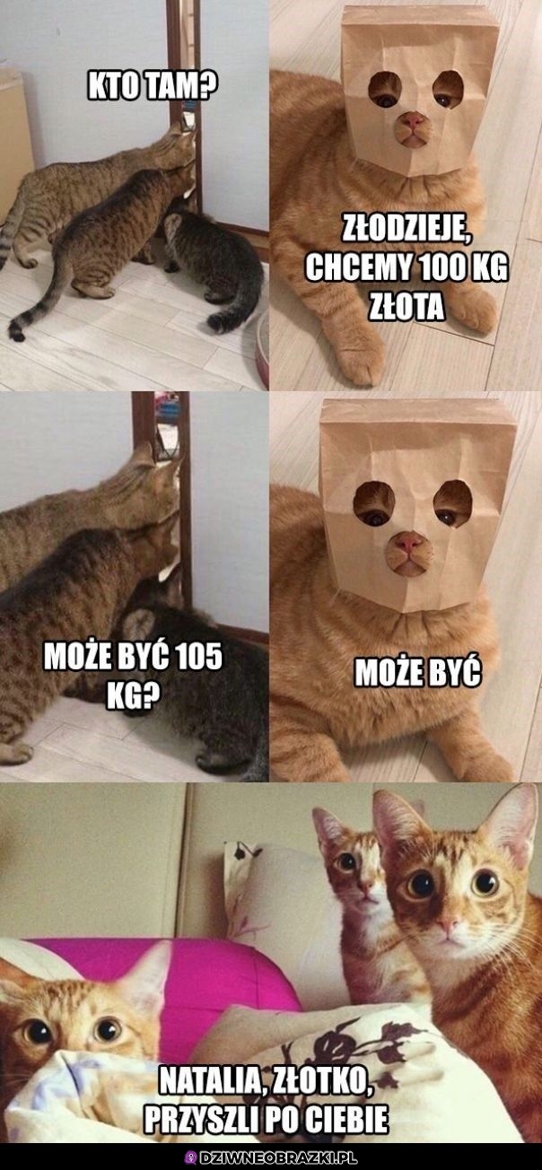 Chcą złotko
