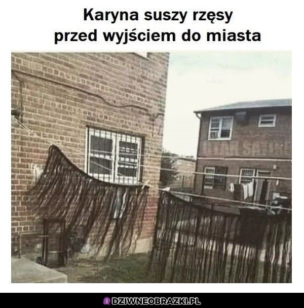 Suszone rzęsy