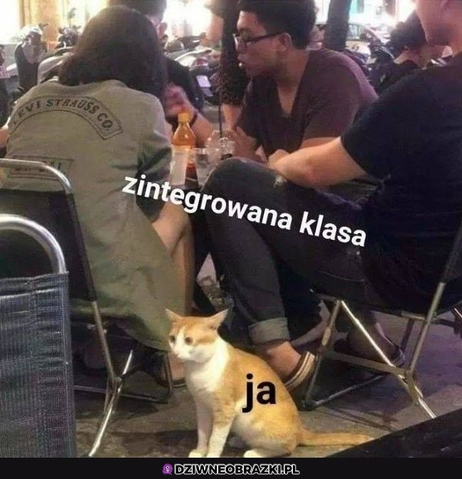 To ja