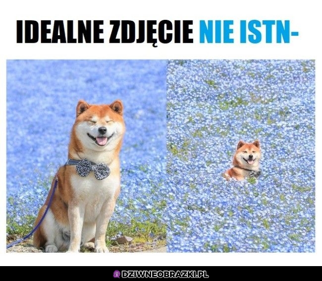 A jednak istnieje