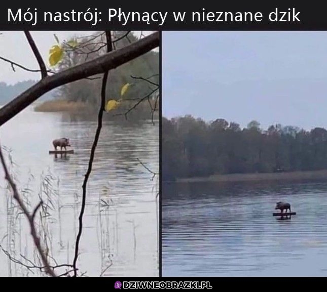 Tak się czuję