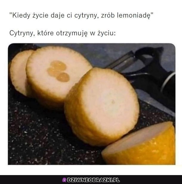 Cytrynki od życia