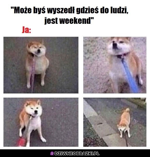 Nie