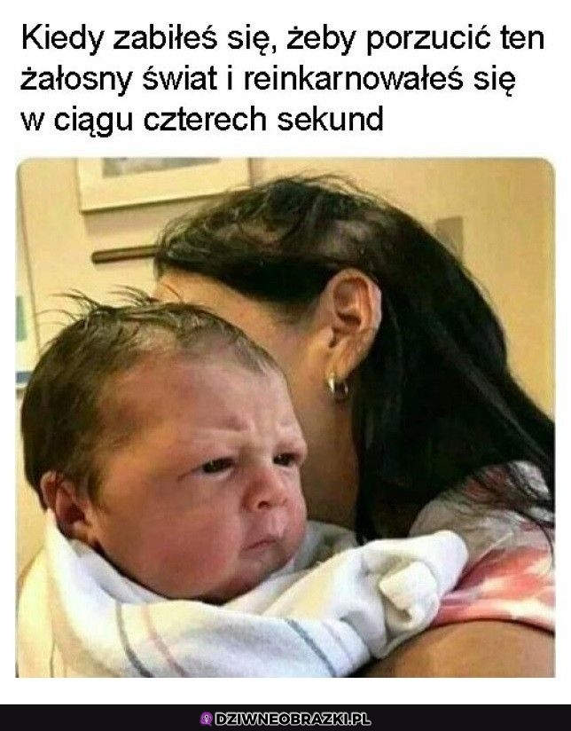 No żesz kur!