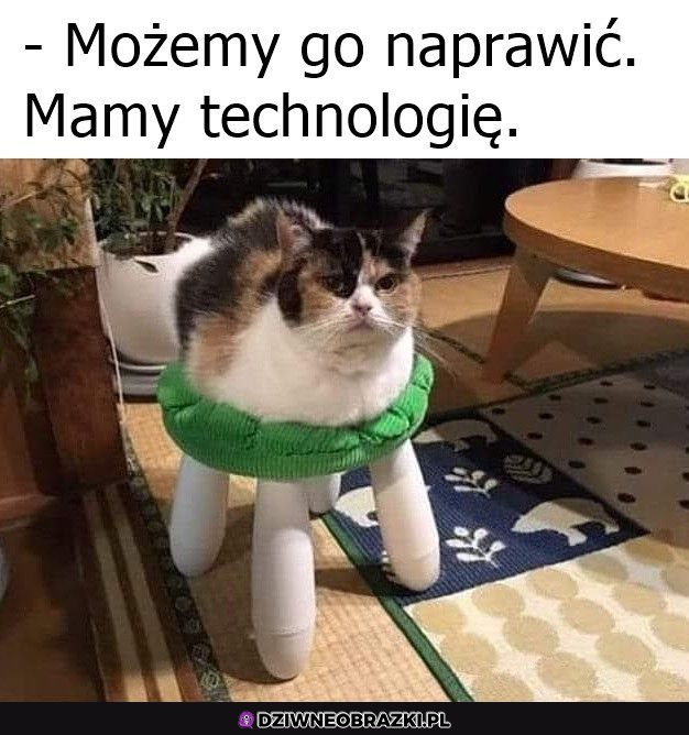 Naprawiony