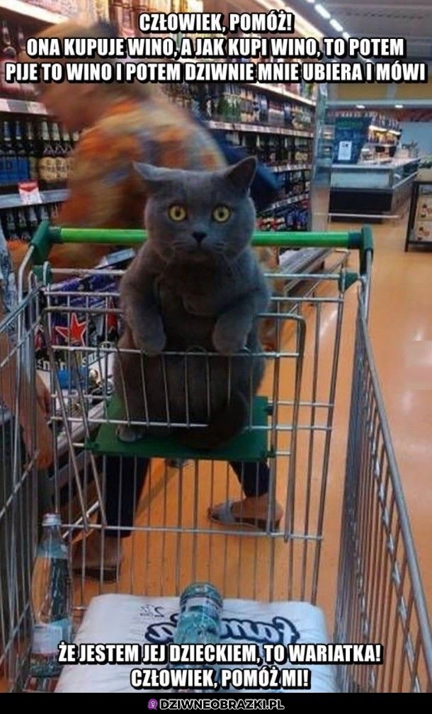 Pomóż!