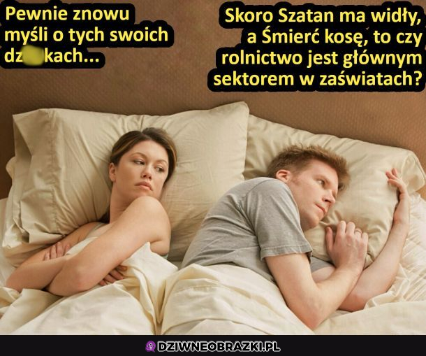 Wieczorne rozkminy