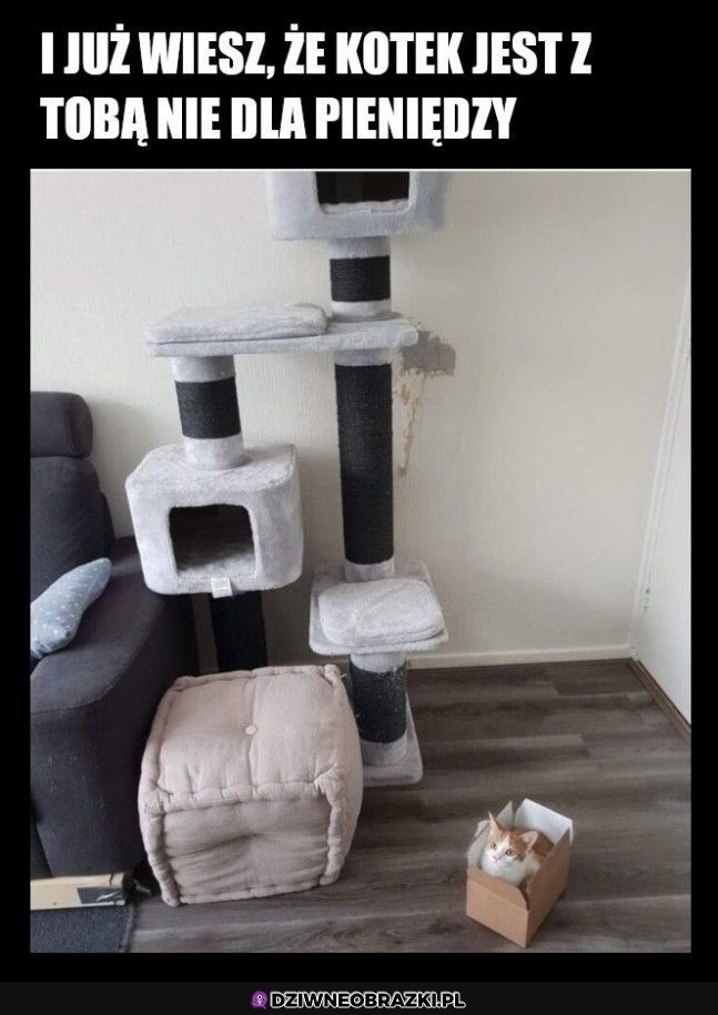 Kitku
