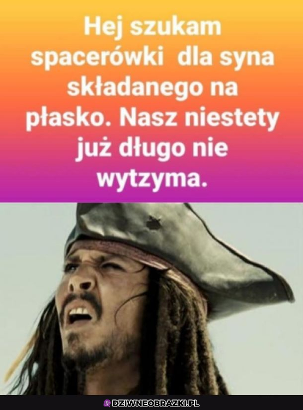 Syn składany na płasko z krótkim terminem 