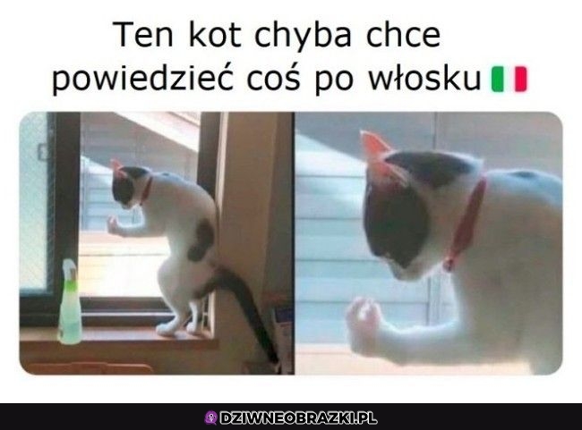 Na pewno