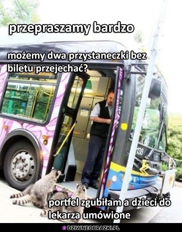Można?