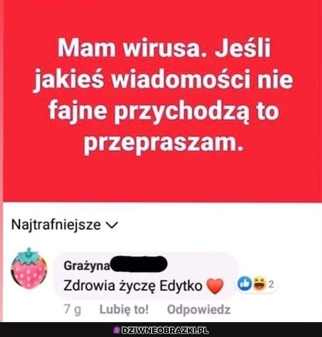 Zdrówka