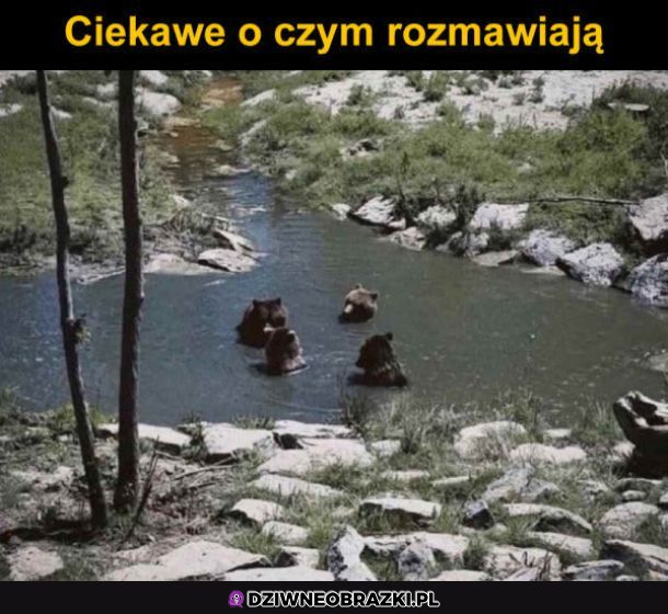 A co to za zebranie?