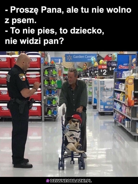 Jaki pies?