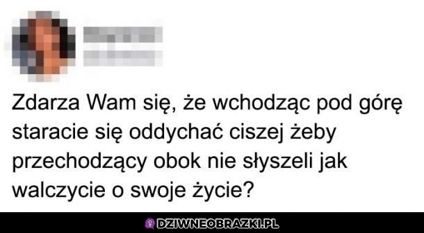 A wam?