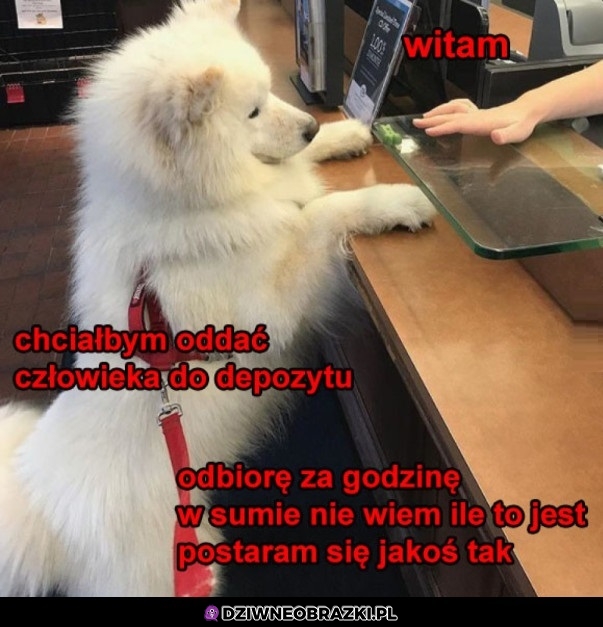 Na godzinkę