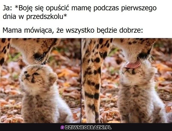 Tak było