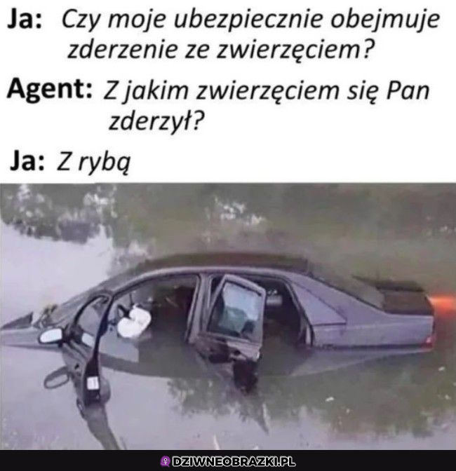 Tak było, nie ściemniam