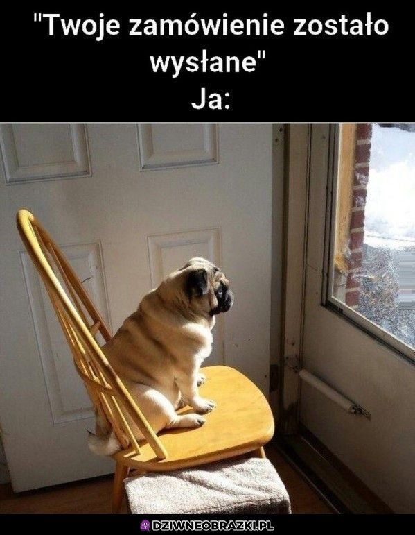 Oczekiwanko