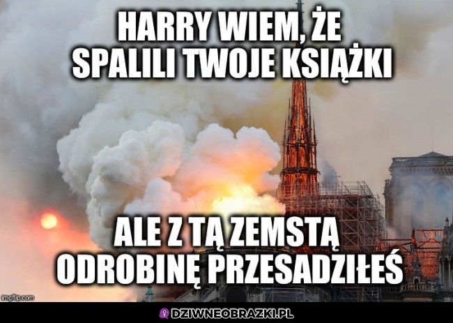 Harry, to przesada