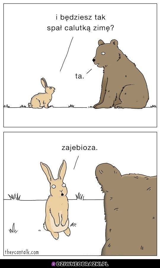 Plan doskonały