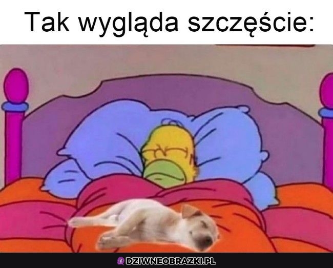 Dokładnie