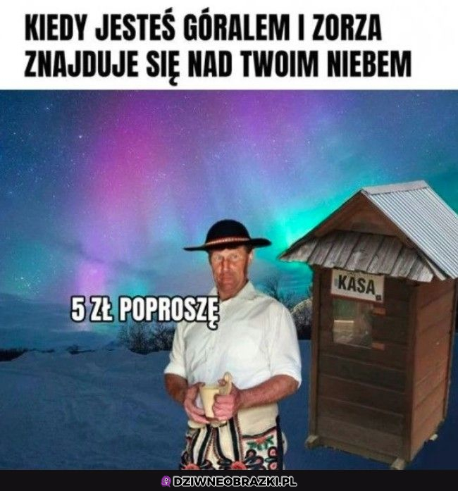 Płać