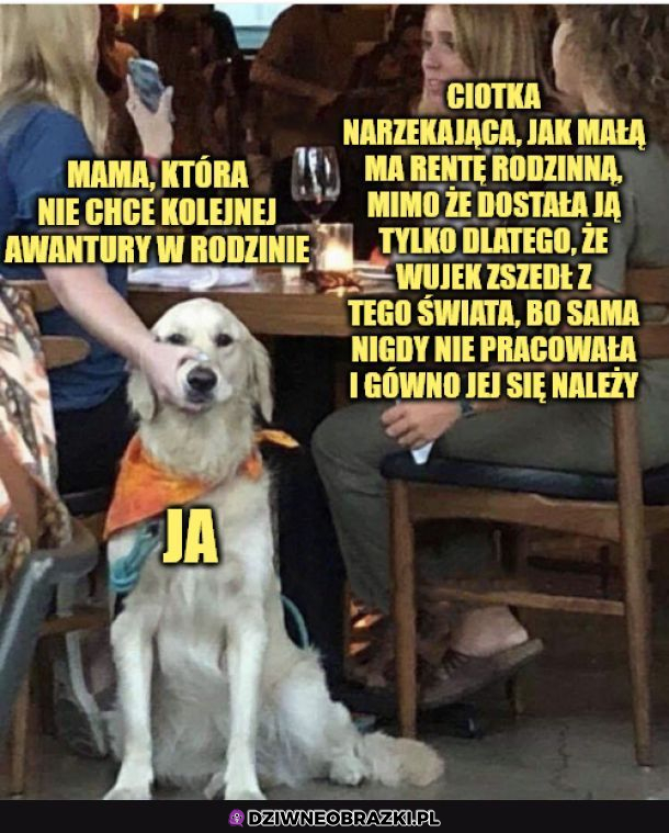 A już chciałem się odpalić 