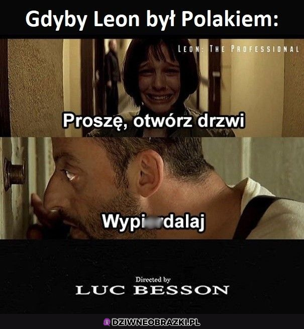 Leon z polszy