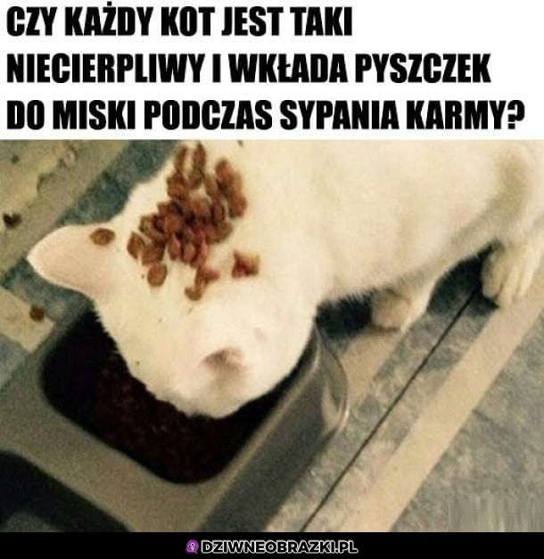 Niecierpliwy