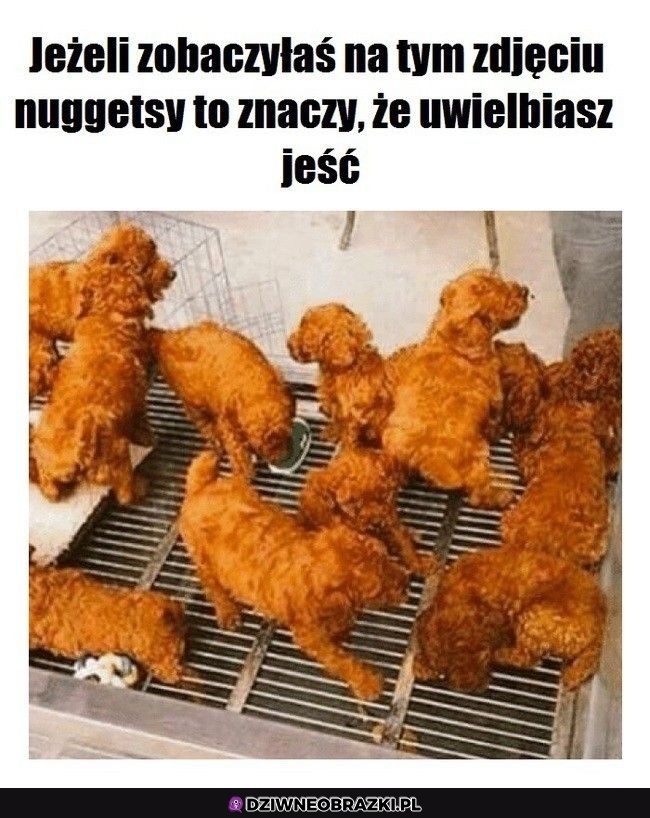 Widzę nuggetsy