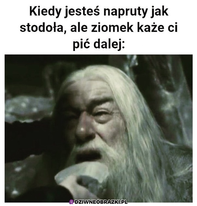 Popij jeszcze xD