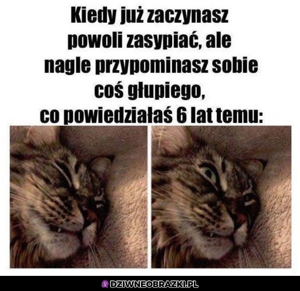 No kurde no