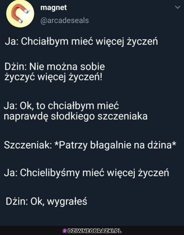 Więcej życzeń