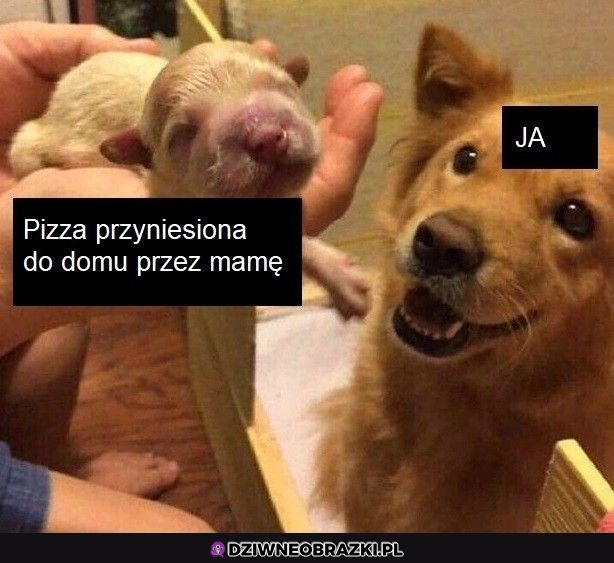 Najlepsza