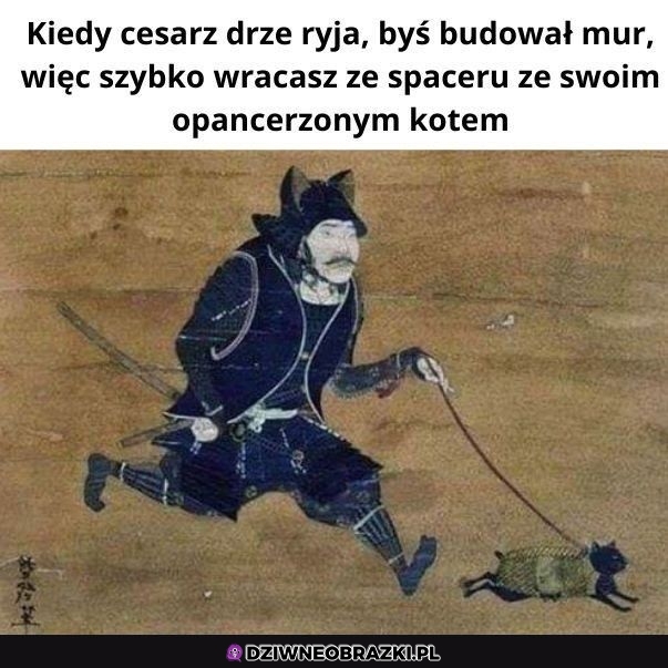 Ten moment