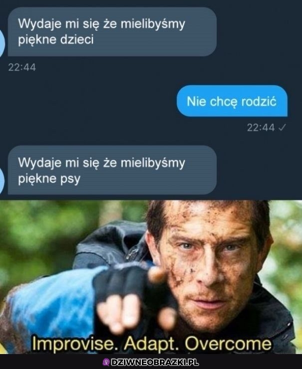 To też byłoby niezłe
