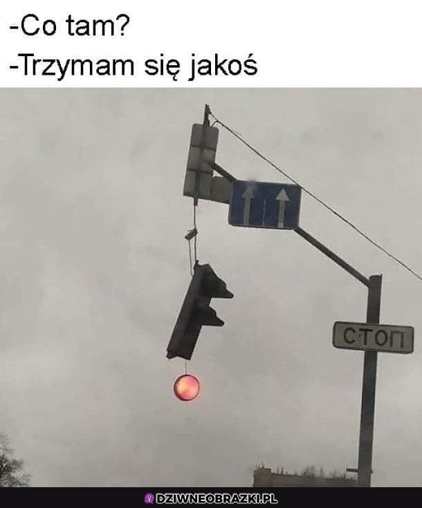 Tak mi leci