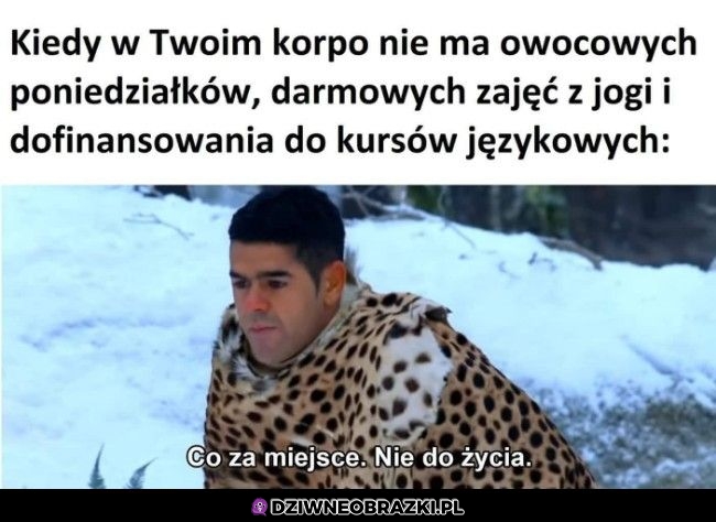 Co to ma być za szajs