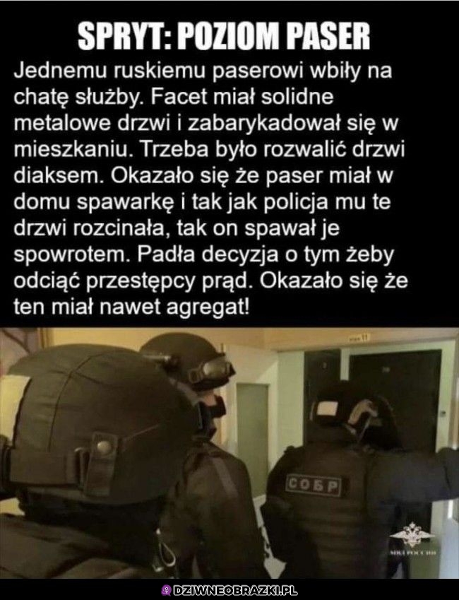 Gotowy na wszystko