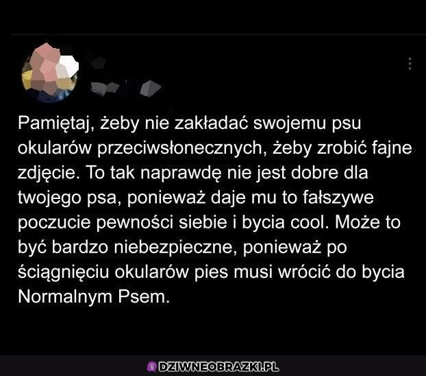 Nie rób tego pieskowi