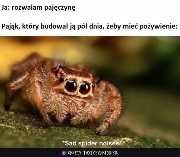 Najgorzej