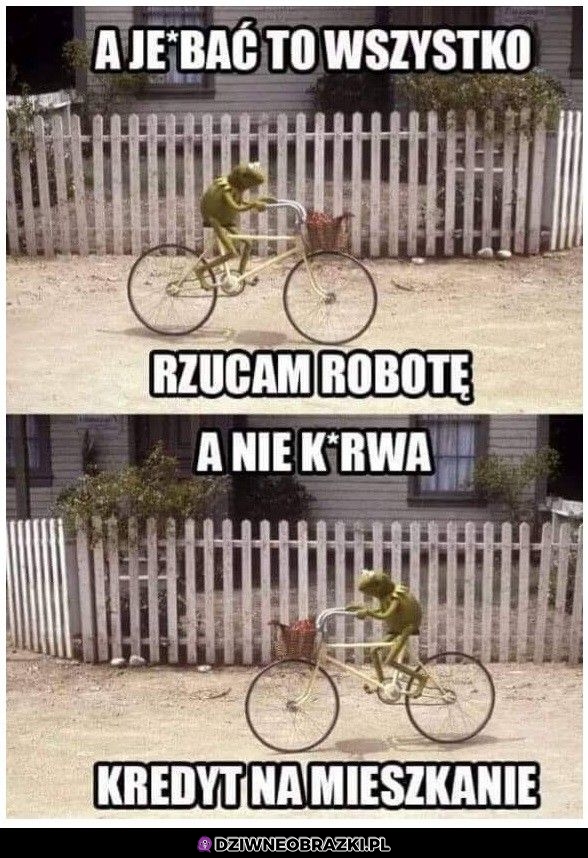 Rzucam tę robotę