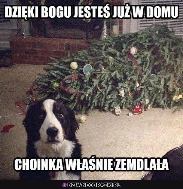 Uff nareszcie jesteś!
