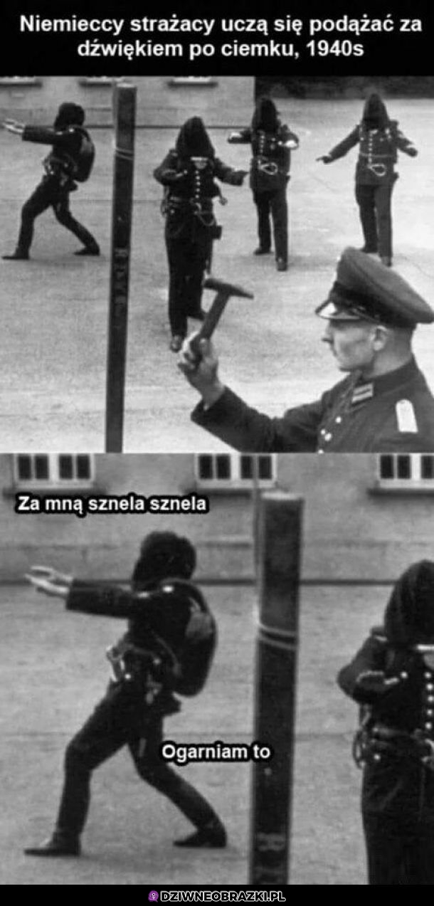 Ogarnia