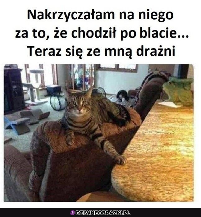Prowokator