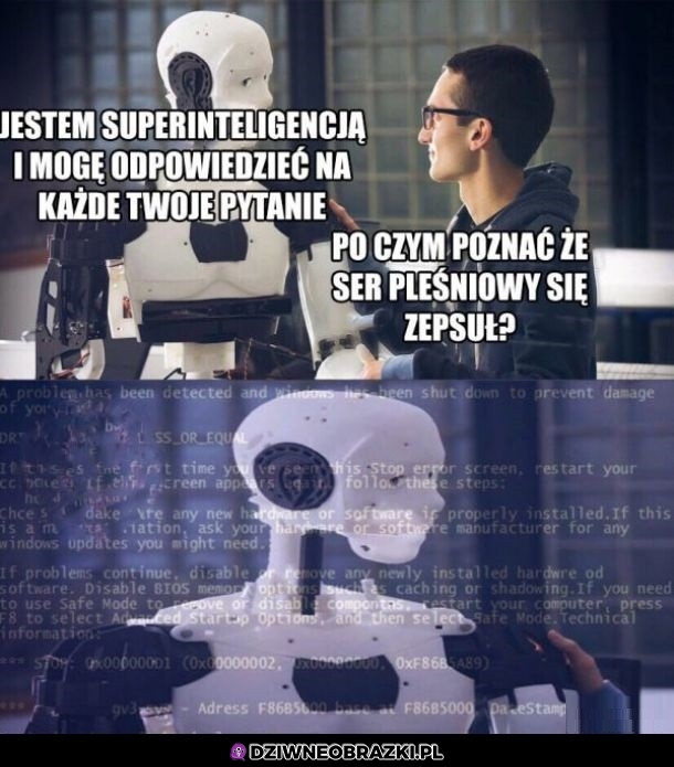 Pytanie