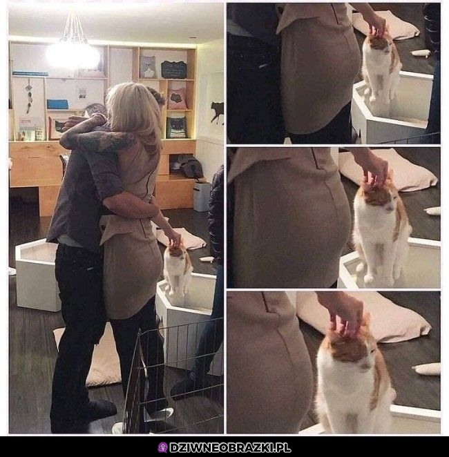 Priotytety Priotytety