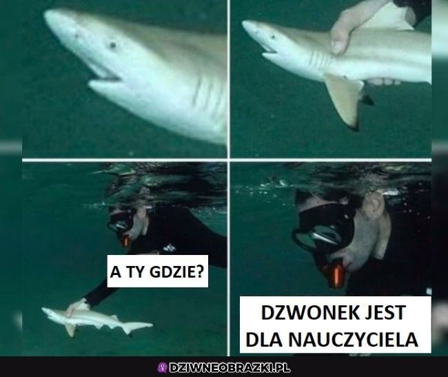 Dokąd to