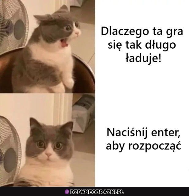 Ups